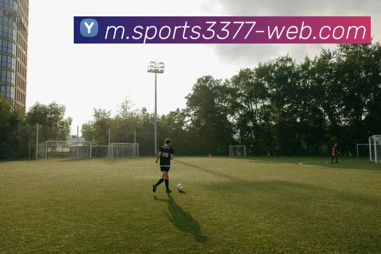 3377体育APP 高清赛事图